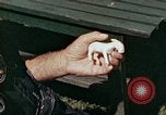 Image of mountain handicrafts Brasstown North Carolina United States USA, 1945, second 20 stock footage video 65675021281