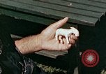 Image of mountain handicrafts Brasstown North Carolina United States USA, 1945, second 21 stock footage video 65675021281
