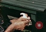 Image of mountain handicrafts Brasstown North Carolina United States USA, 1945, second 24 stock footage video 65675021281