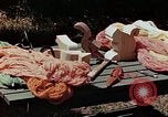 Image of mountain handicrafts Brasstown North Carolina United States USA, 1945, second 29 stock footage video 65675021281