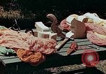 Image of mountain handicrafts Brasstown North Carolina United States USA, 1945, second 31 stock footage video 65675021281