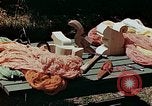 Image of mountain handicrafts Brasstown North Carolina United States USA, 1945, second 32 stock footage video 65675021281