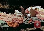 Image of mountain handicrafts Brasstown North Carolina United States USA, 1945, second 35 stock footage video 65675021281
