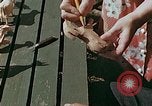 Image of mountain handicrafts Brasstown North Carolina United States USA, 1945, second 41 stock footage video 65675021281