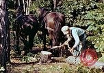 Image of mountain handicrafts North Carolina United States USA, 1945, second 10 stock footage video 65675021284