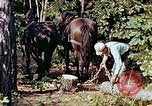 Image of mountain handicrafts North Carolina United States USA, 1945, second 11 stock footage video 65675021284
