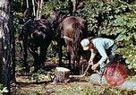 Image of mountain handicrafts North Carolina United States USA, 1945, second 12 stock footage video 65675021284