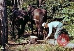 Image of mountain handicrafts North Carolina United States USA, 1945, second 13 stock footage video 65675021284