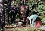 Image of mountain handicrafts North Carolina United States USA, 1945, second 14 stock footage video 65675021284