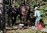 Image of mountain handicrafts North Carolina United States USA, 1945, second 15 stock footage video 65675021284
