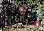 Image of mountain handicrafts North Carolina United States USA, 1945, second 16 stock footage video 65675021284