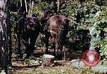 Image of mountain handicrafts North Carolina United States USA, 1945, second 17 stock footage video 65675021284