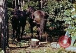 Image of mountain handicrafts North Carolina United States USA, 1945, second 18 stock footage video 65675021284