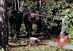 Image of mountain handicrafts North Carolina United States USA, 1945, second 19 stock footage video 65675021284