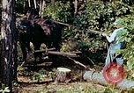 Image of mountain handicrafts North Carolina United States USA, 1945, second 20 stock footage video 65675021284