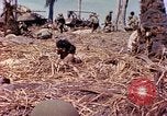 Image Bataille d'Eniwetok l'atoll Eniwetok Iles Marshall, 1944, de la seconde 5 séquences d'archives historiques vidéo 65675021289