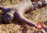 Image Bataille d'Eniwetok l'atoll Eniwetok Iles Marshall, 1944, de la seconde 43 séquences d'archives historiques vidéo 65675021289