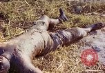 Image Bataille d'Eniwetok l'atoll Eniwetok Iles Marshall, 1944, de la seconde 45 séquences d'archives historiques vidéo 65675021289