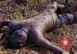 Image Bataille d'Eniwetok l'atoll Eniwetok Iles Marshall, 1944, de la seconde 46 séquences d'archives historiques vidéo 65675021289