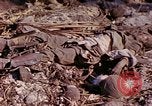 Image Bataille d'Eniwetok l'atoll Eniwetok Iles Marshall, 1944, de la seconde 48 séquences d'archives historiques vidéo 65675021289