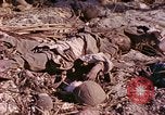 Image Bataille d'Eniwetok l'atoll Eniwetok Iles Marshall, 1944, de la seconde 49 séquences d'archives historiques vidéo 65675021289