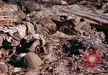 Image Bataille d'Eniwetok l'atoll Eniwetok Iles Marshall, 1944, de la seconde 51 séquences d'archives historiques vidéo 65675021289