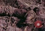 Image Bataille d'Eniwetok l'atoll Eniwetok Iles Marshall, 1944, de la seconde 58 séquences d'archives historiques vidéo 65675021289