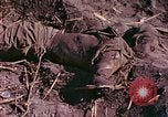 Image Bataille d'Eniwetok l'atoll Eniwetok Iles Marshall, 1944, de la seconde 59 séquences d'archives historiques vidéo 65675021289