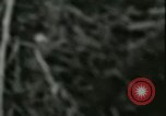 Standbild F-104A Starfighter California United States USA, 1956, aus Sekunde 52 historischem Filmmaterial Videoclip 65675021301