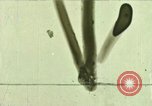 Image of X-15A aircraft California United States USA, 1967, second 1 stock footage video 65675021317