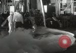 Standbild Redstone Mercury Cape Canaveral Florida USA, 1961, aus Sekunde 46 historischem Filmmaterial Videoclip 65675021397