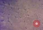 Image of B-58 Hustler United States USA, 1958, second 22 stock footage video 65675021422