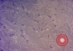 Image of B-58 Hustler United States USA, 1958, second 24 stock footage video 65675021422