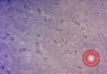 Image of B-58 Hustler United States USA, 1958, second 25 stock footage video 65675021422