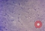 Image of B-58 Hustler United States USA, 1958, second 26 stock footage video 65675021422