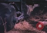 Immagine di Macis missile United States USA, 1958, secondo 15 filmato di repertorio 65675021438