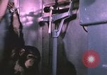 Image of NASA Project Mercury United States USA, 1960, second 1 stock footage video 65675021452
