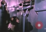 Image of NASA Project Mercury United States USA, 1960, second 3 stock footage video 65675021452