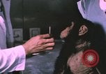 Image of NASA Project Mercury United States USA, 1960, second 4 stock footage video 65675021452