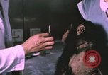 Image of NASA Project Mercury United States USA, 1960, second 5 stock footage video 65675021452