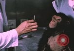 Image of NASA Project Mercury United States USA, 1960, second 6 stock footage video 65675021452