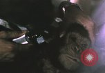Image of NASA Project Mercury United States USA, 1960, second 10 stock footage video 65675021452