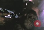 Image of NASA Project Mercury United States USA, 1960, second 11 stock footage video 65675021452