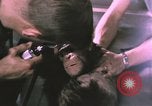 Image of NASA Project Mercury United States USA, 1960, second 13 stock footage video 65675021452