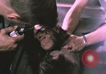 Image of NASA Project Mercury United States USA, 1960, second 15 stock footage video 65675021452