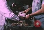 Image of NASA Project Mercury United States USA, 1960, second 30 stock footage video 65675021452