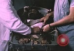Image of NASA Project Mercury United States USA, 1960, second 31 stock footage video 65675021452