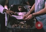 Image of NASA Project Mercury United States USA, 1960, second 34 stock footage video 65675021452