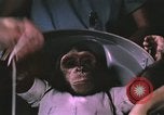 Image of NASA Project Mercury United States USA, 1960, second 37 stock footage video 65675021452