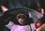 Image of NASA Project Mercury United States USA, 1960, second 38 stock footage video 65675021452